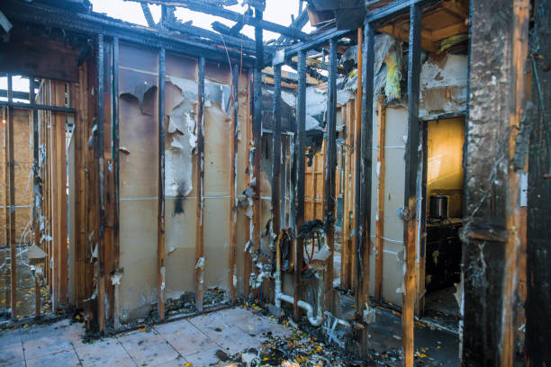 Professional Fire Damage Removal technician working in Mangonia Park, FL
